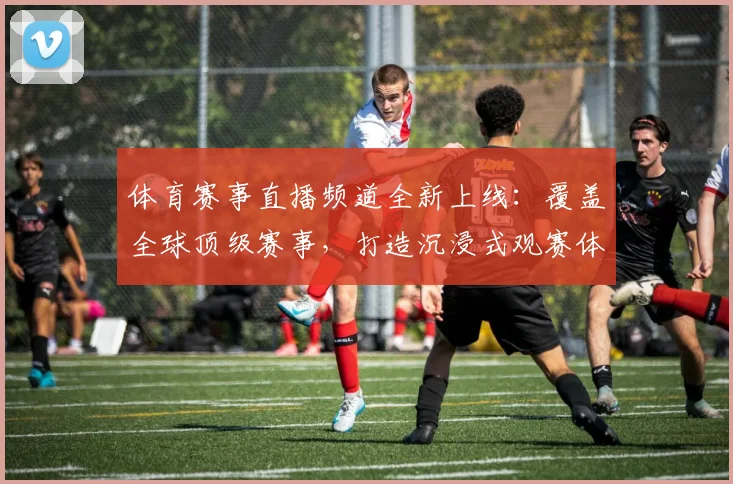 体育赛事直播频道全新上线：覆盖全球顶级赛事，打造沉浸式观赛体验